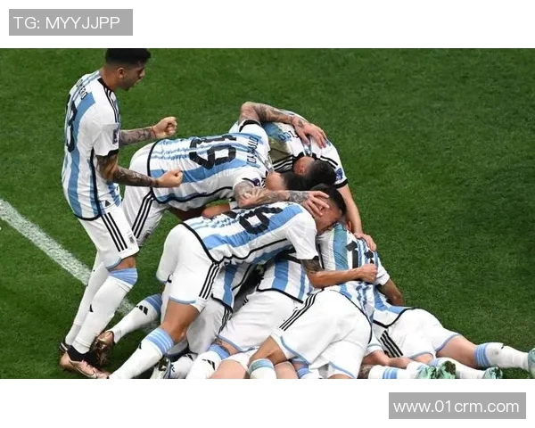 阿根廷与尼日利亚比赛技术统计全面分析与对比